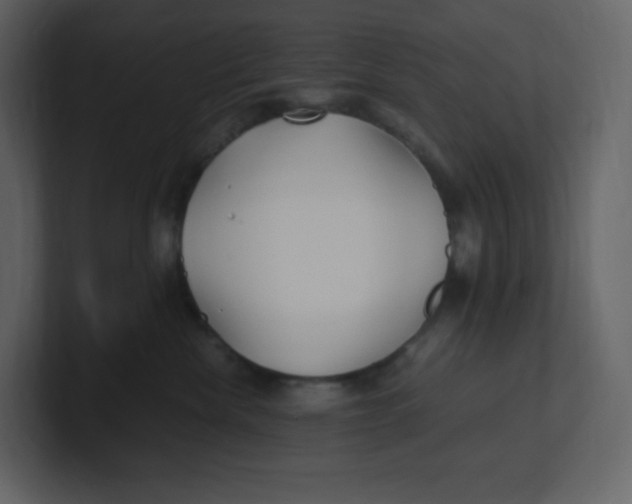 X0000100940476200807151310