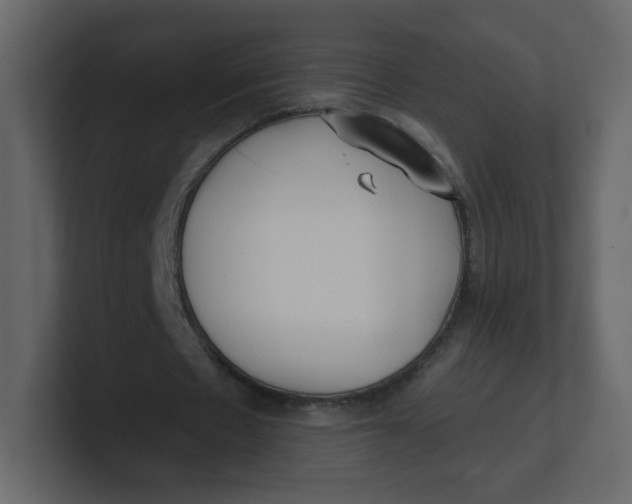 X0000100940481200807151309