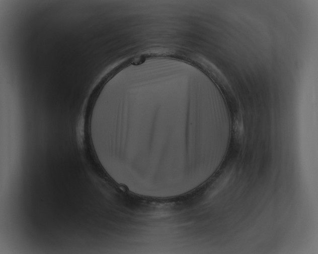 X0000100940484200807151309