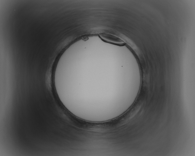 X0000100940485200807151309