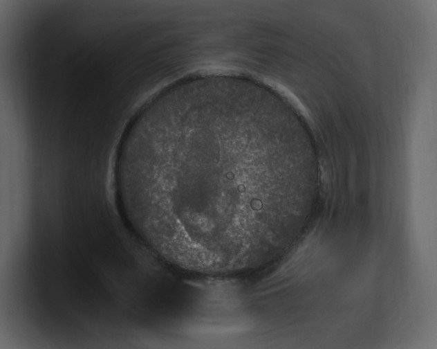 X0000100940487200807151309