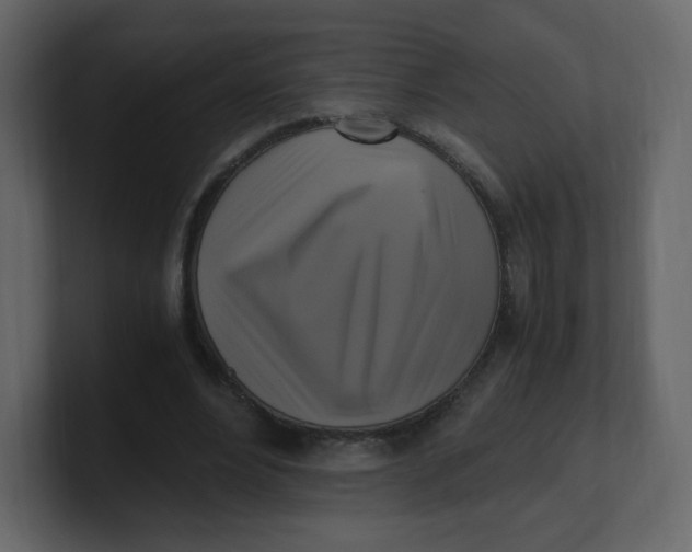 X0000100940488200807151309