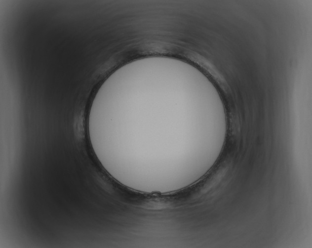 X0000100940489200807151309