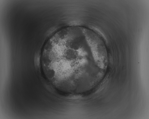 X0000100940491200807151309