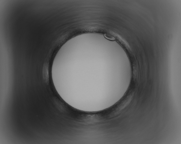 X0000100940493200807151309