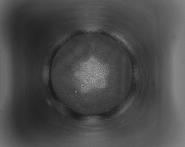 X0000100940495200807151309