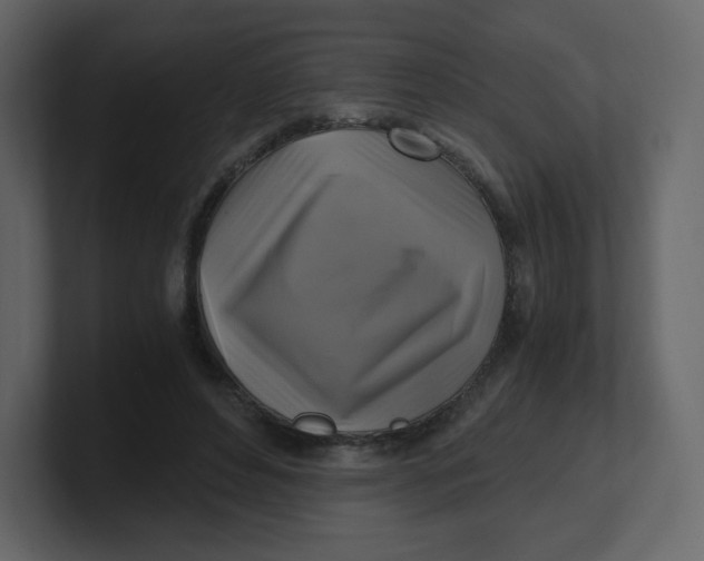 X0000100940496200807151309