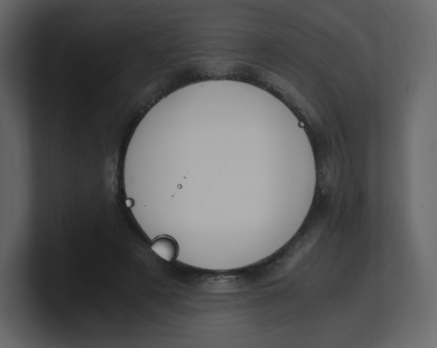 X0000100940497200807151309