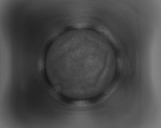 X0000100940499200807151309