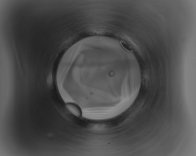 X0000100940500200807151309