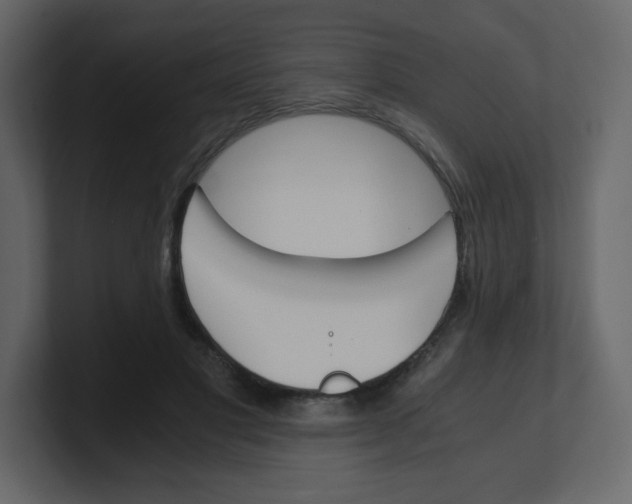 X0000100940501200807151309