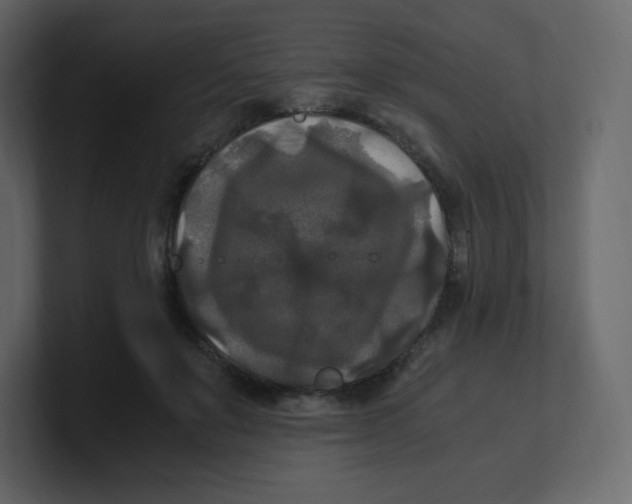 X0000100940503200807151309