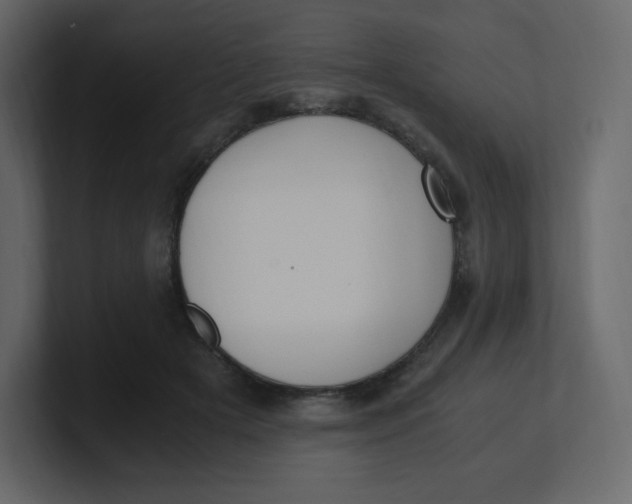 X0000100940505200807151309