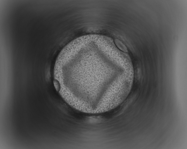 X0000100940508200807151309