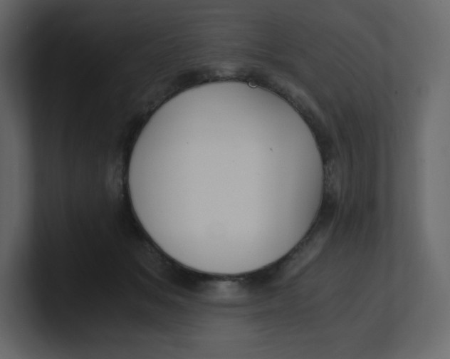 X0000100940509200807151309