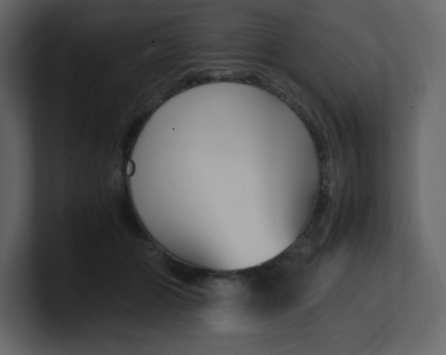 X0000100940510200807151309