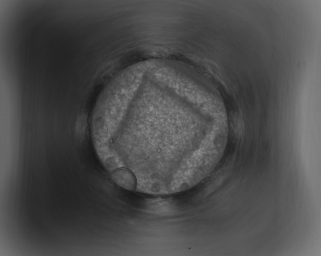 X0000100940511200807151309