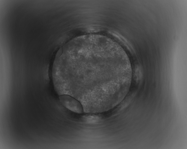 X0000100940512200807151309