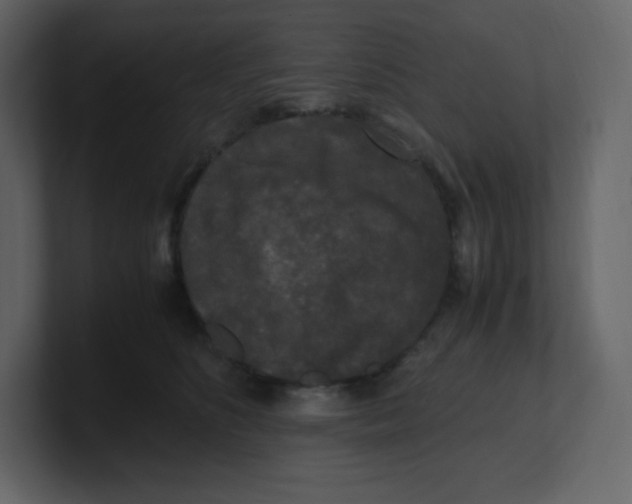 X0000100940516200807151309