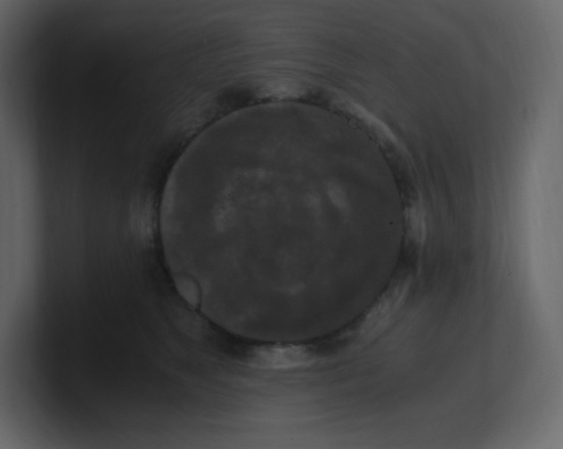 X0000100940517200807151309