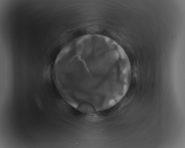 X0000100940519200807151309