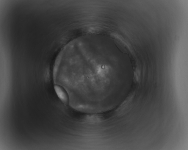 X0000100940520200807151309