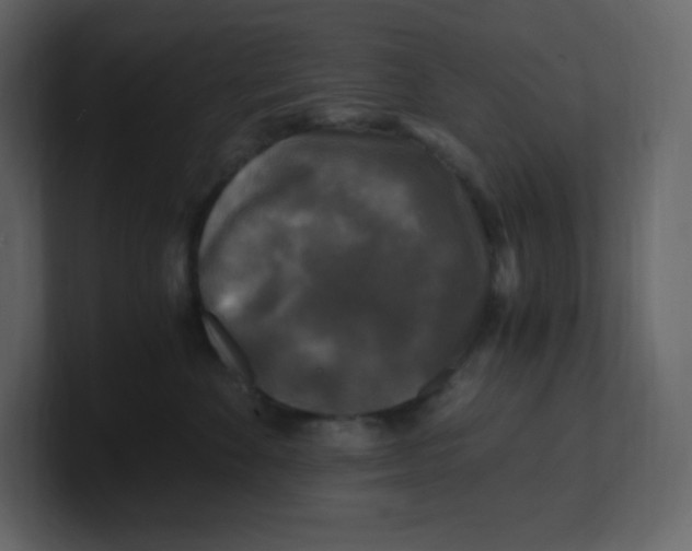 X0000100940524200807151309