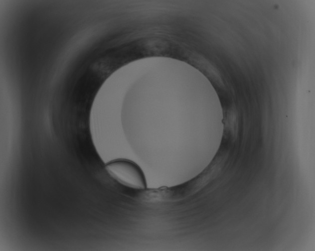 X0000100940526200807151309