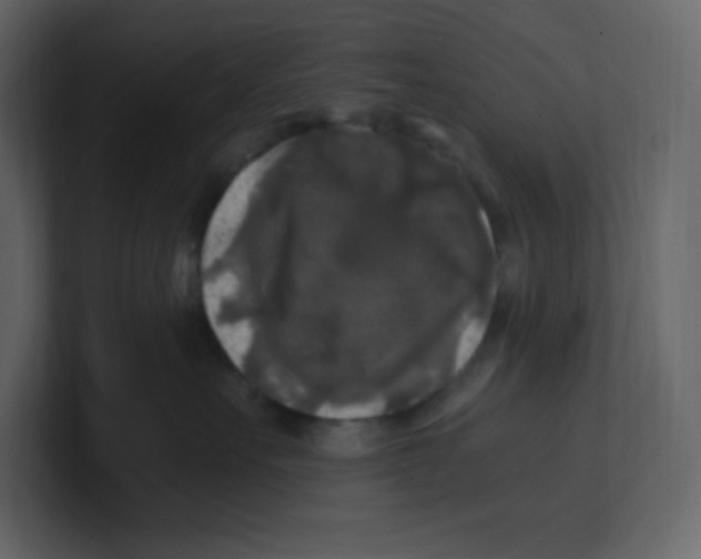 X0000100940527200807151309