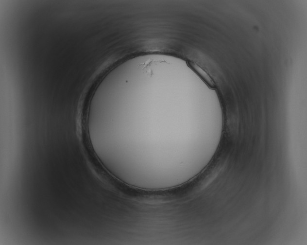 X0000100940530200807151308