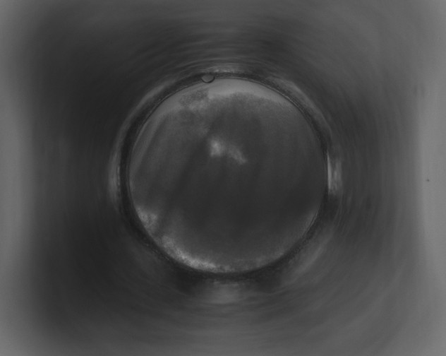 X0000100940531200807151308