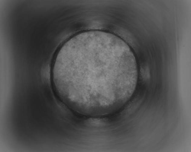 X0000100940534200807151308