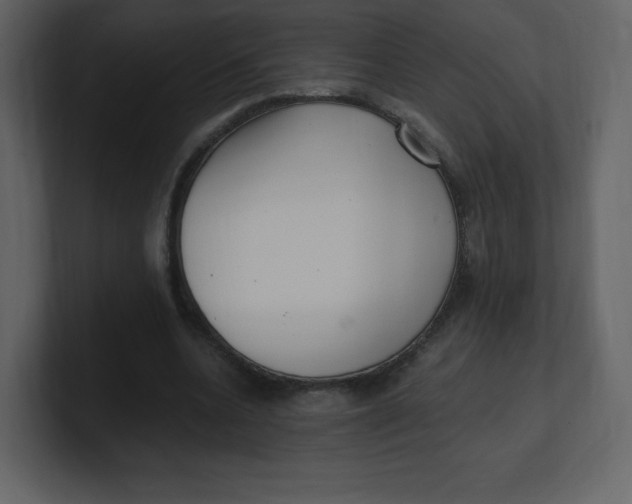 X0000100940536200807151308