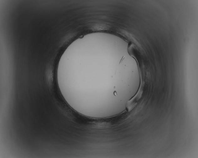 X0000100940539200807151308