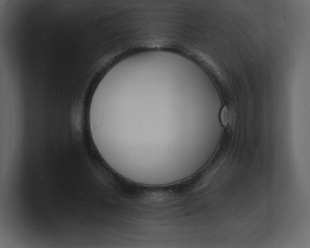 X0000100940540200807151308