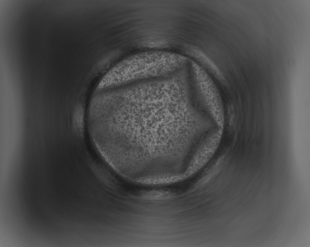 X0000100940542200807151308