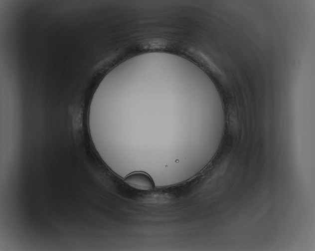 X0000100940543200807151308