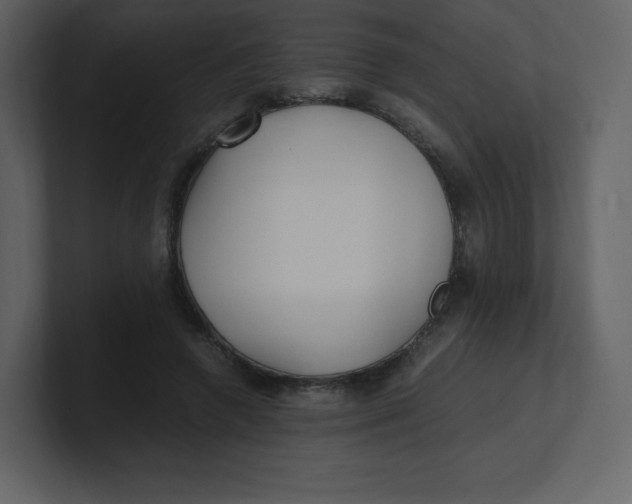 X0000100940546200807151308