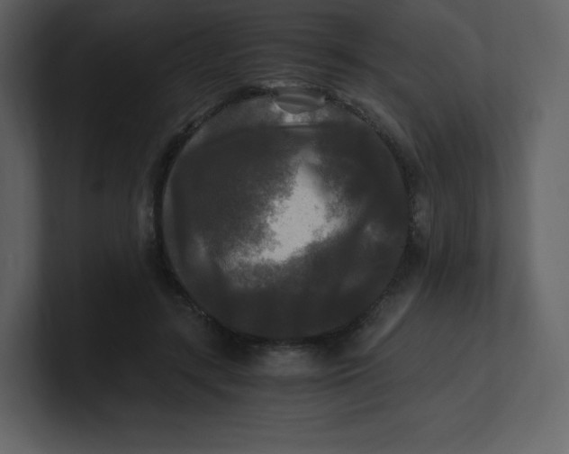 X0000100940547200807151308