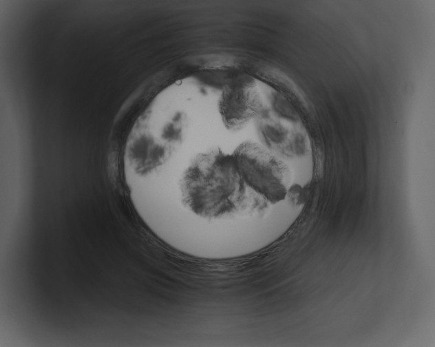 X0000100940549200807151308