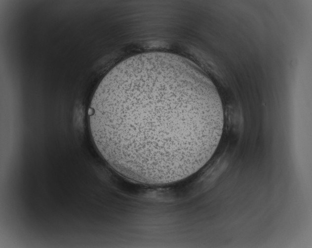 X0000100940550200807151308