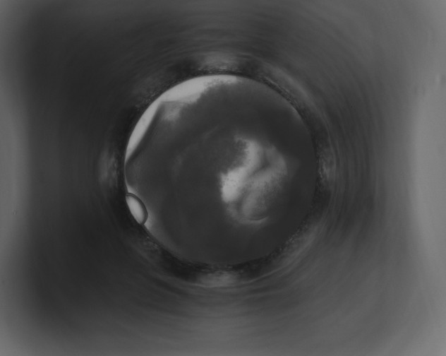 X0000100940551200807151308