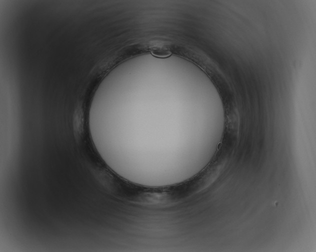 X0000100940552200807151308