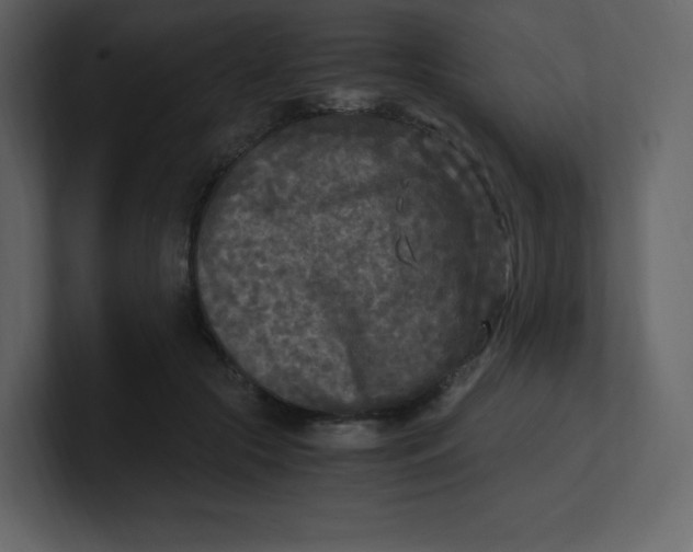 X0000100940553200807151308