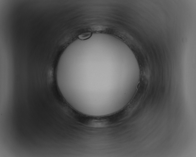 X0000100940556200807151308