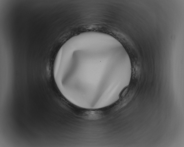 X0000100940558200807151308