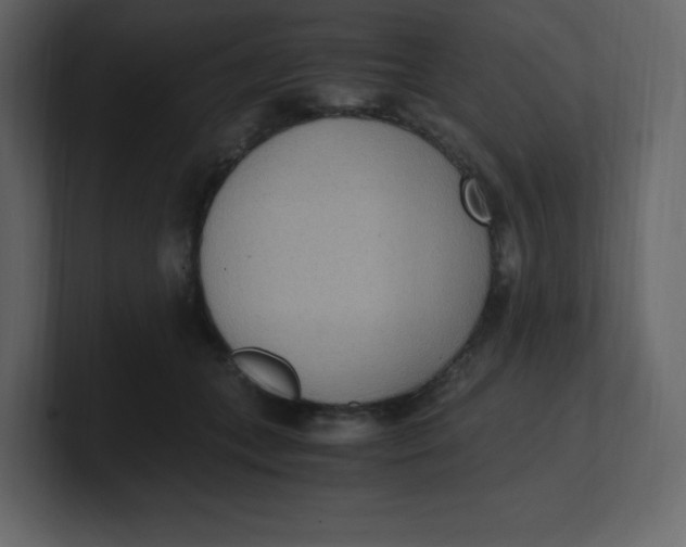 X0000100940559200807151308