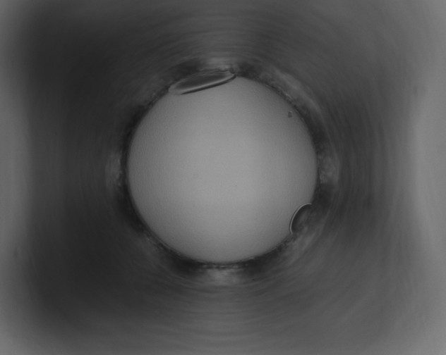 X0000100940560200807151308