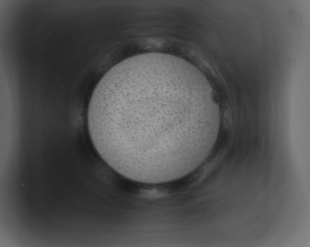 X0000100940561200807151308