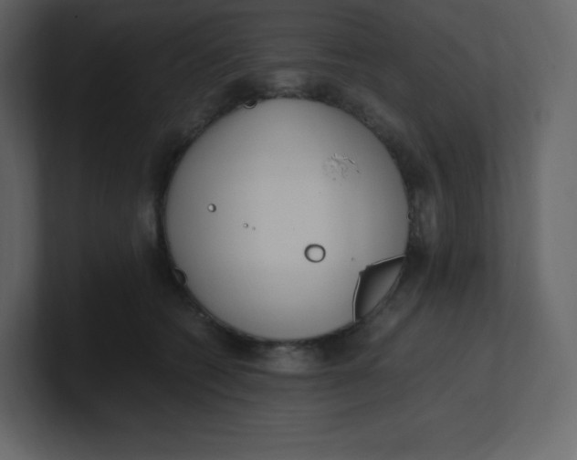 X0000100940562200807151308